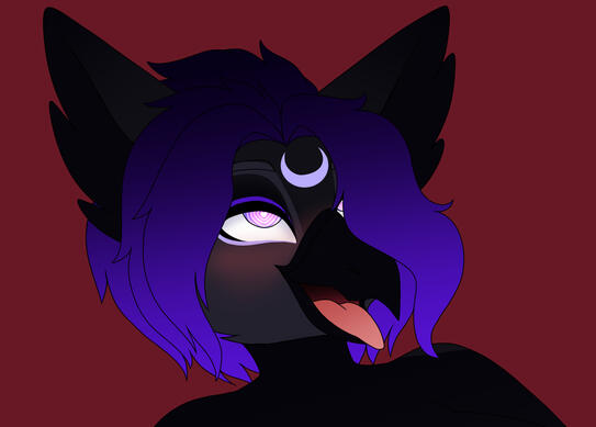 ahego face